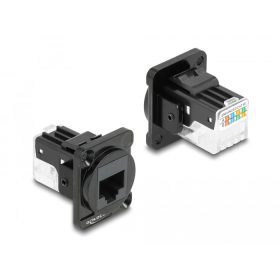   Delock D-típusú Modul RJ45 Cat.6A hüvely - LSA hüvely (DL-87817)