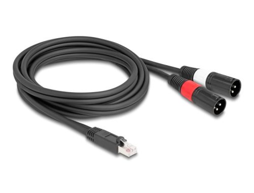 Delock Adapter RJ45 kábel apa - 2 XLR 3 tűs apa fekete színű 2 m