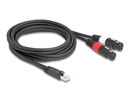 Delock Adapter RJ45 kábel apa - 2 x XLR 3 tűs anya fekete színű 2 m