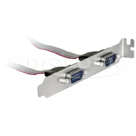 Delock Slot Konzol > 2 x Soros (DL-89268)