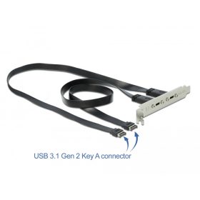 Delock Csatlakozó aljzat 2 x USB Type-C  porttal (DL-89935)