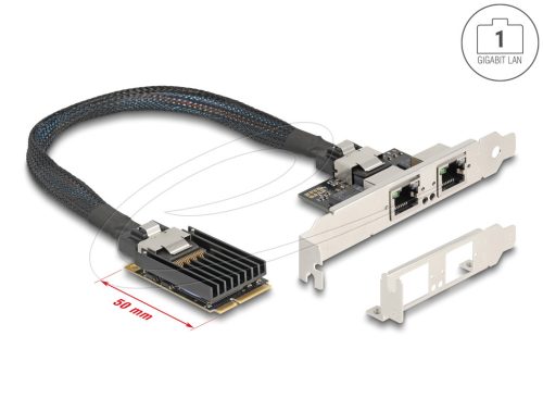 Delock Mini PCIe I/O PCIe teljes méretű 2 x RJ45 Gigabit LAN