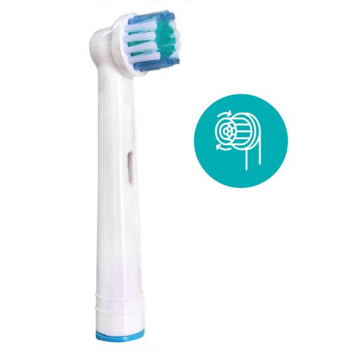 Timeless Beauty 4 db-os fogkefe fej (HOP1000118)