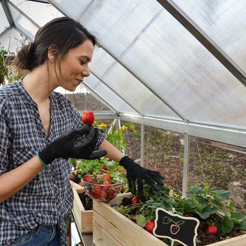 Timeless Garden Kerti melegház, alumínium (HOP1001865)