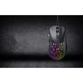 Havit GAMENOTE MS955GT RGB egér